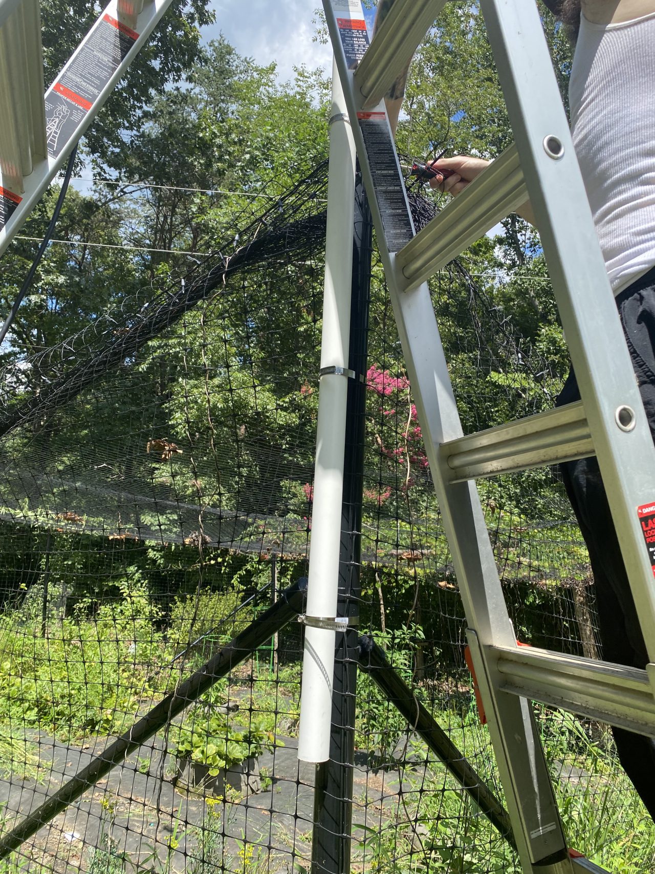 PVC pipe attached to fence post with large hose clamps